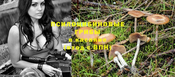 ГАЛЛЮЦИНОГЕННЫЕ ГРИБЫ Арсеньев