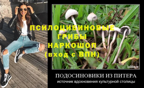 таблы Аркадак