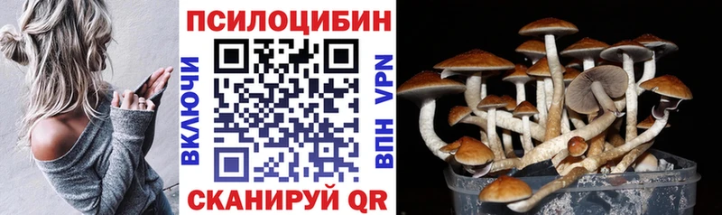 Галлюциногенные грибы прущие грибы blacksprut рабочий сайт даркнет какой сайт Калтан